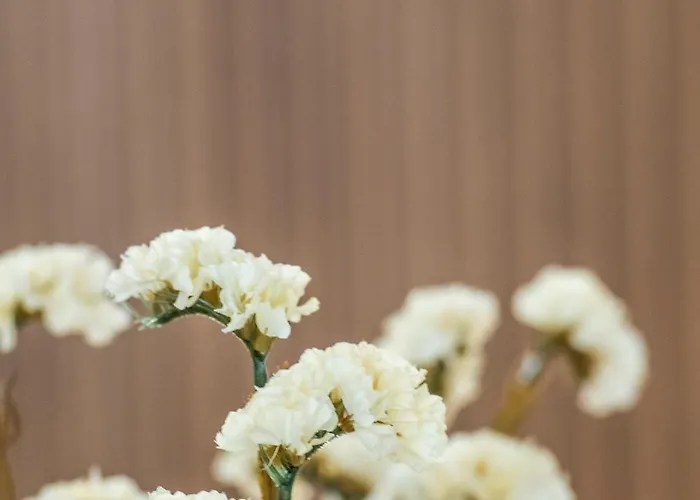 Appartement Balijskie *